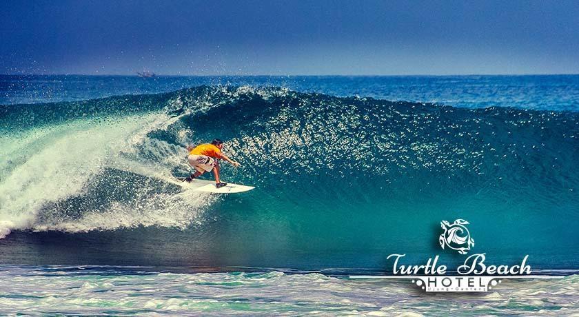 Turtle Beach Hotel Ujunggenteng Bilik gambar