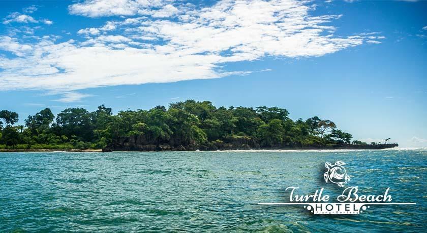 Turtle Beach Hotel Ujunggenteng Bilik gambar